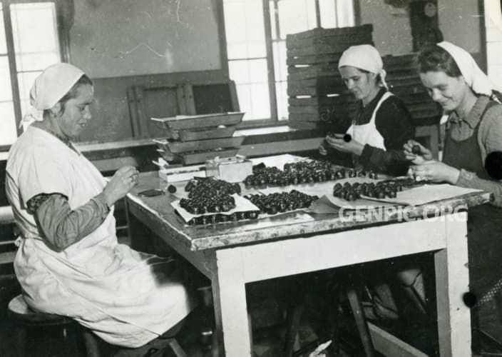 Stollwerck brothers' company (later Figaro n.p.) - Packaging of chocolate candies.