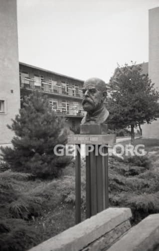 Dr. Robert Koch - busta.