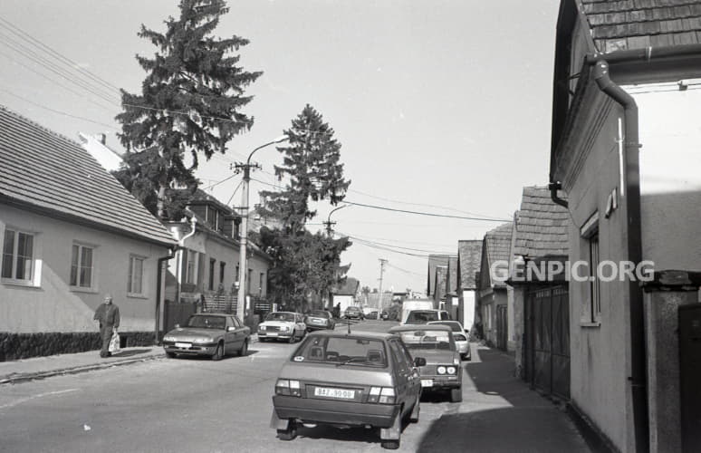 Street - Typical houses.