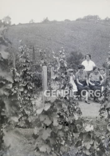 Women and children in the vineyard.