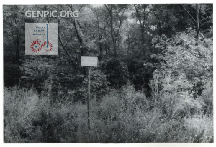 Documentation of the border area between the Czechoslovak Socialist Republic and Austria.