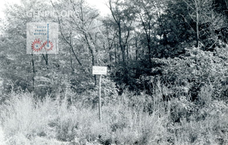 Documentation of the border area between the Czechoslovak Socialist Republic and Austria.