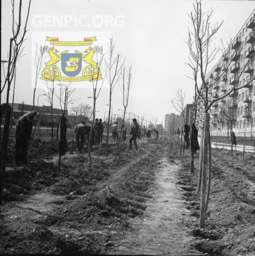 Soldiers plant trees.