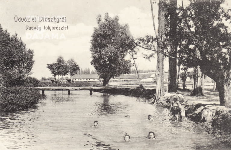 Swimming in the Dudvah River.