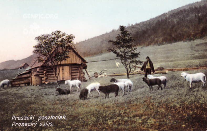 Shepherd's hut.