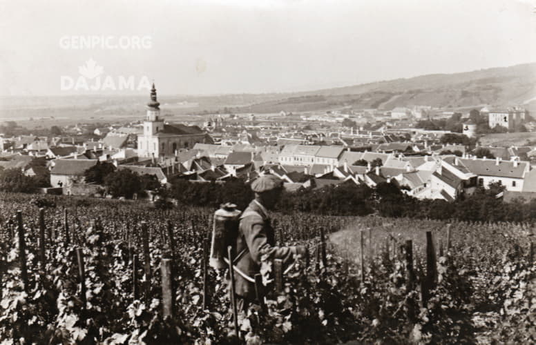 Panoráma mesta.