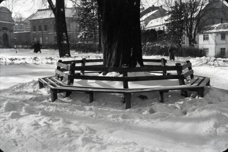 Park Janáčkovy sady.