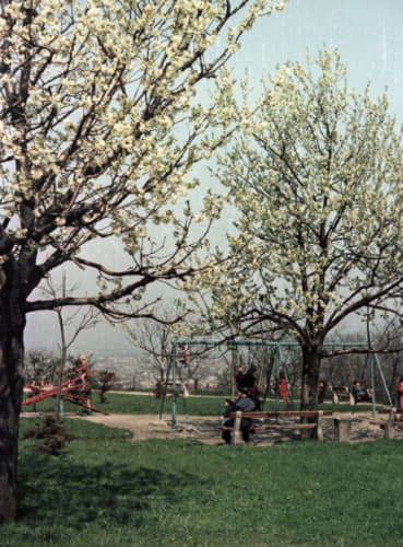 Detské ihrisko - Bratislavský hrad.