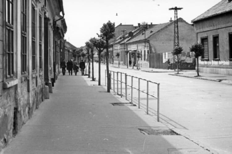 Street bustle. Palatinova ulica Street.