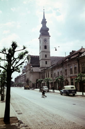 Greek-Catholic Cathedral of St. John the Baptist.