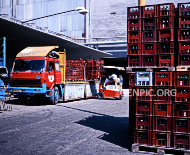 Transport of Zlaty bazant (Golden Pheasant) beer.