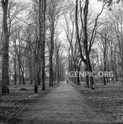 Promenade in Janko Kral Park (Stanicny park).