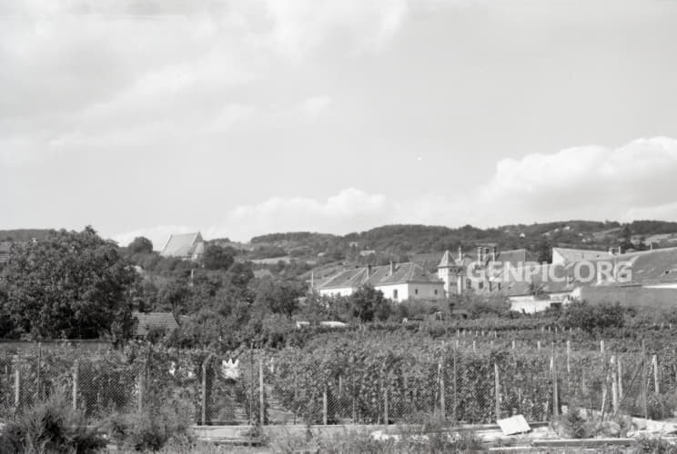Vineyard and the historic city center.